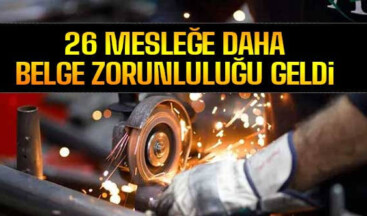 26 Mesleğe Daha Belge Zorunluluğu Getirildi