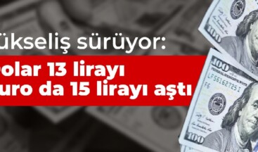 TL değer kaybı: Dolar yine yükselişte