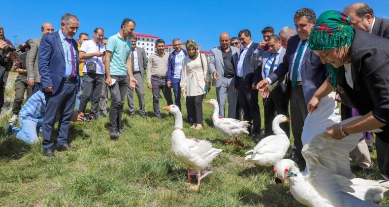 Ardahan’da Kaz Çalıştayı Başladı