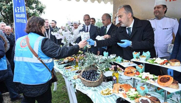 Bursa Orhangazi’de de zeytin hasadı başladı