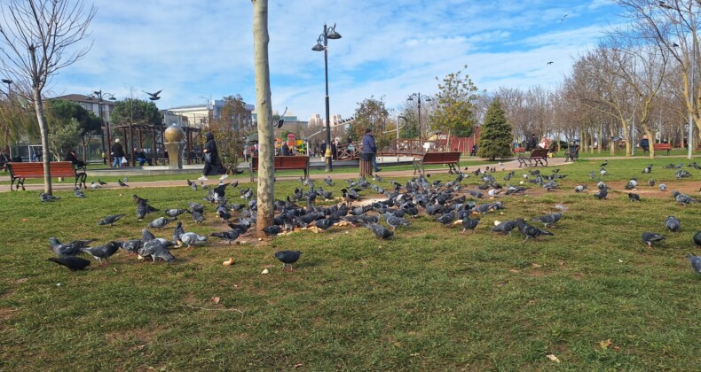 Ataşehir Kayığdağı Parkı, Gövercin Parkı Oldu